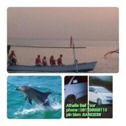 Sewa Mobil Wisata Di Bali